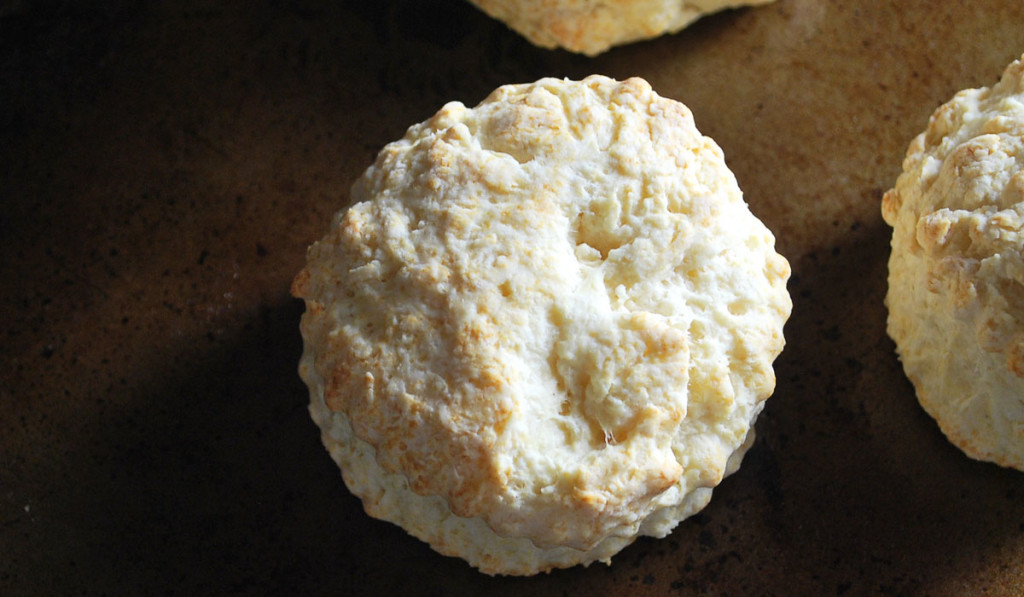siggi's Icelandic-style yogurt: skyr - Skyr Biscuits