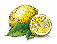 Valeur nutritive
